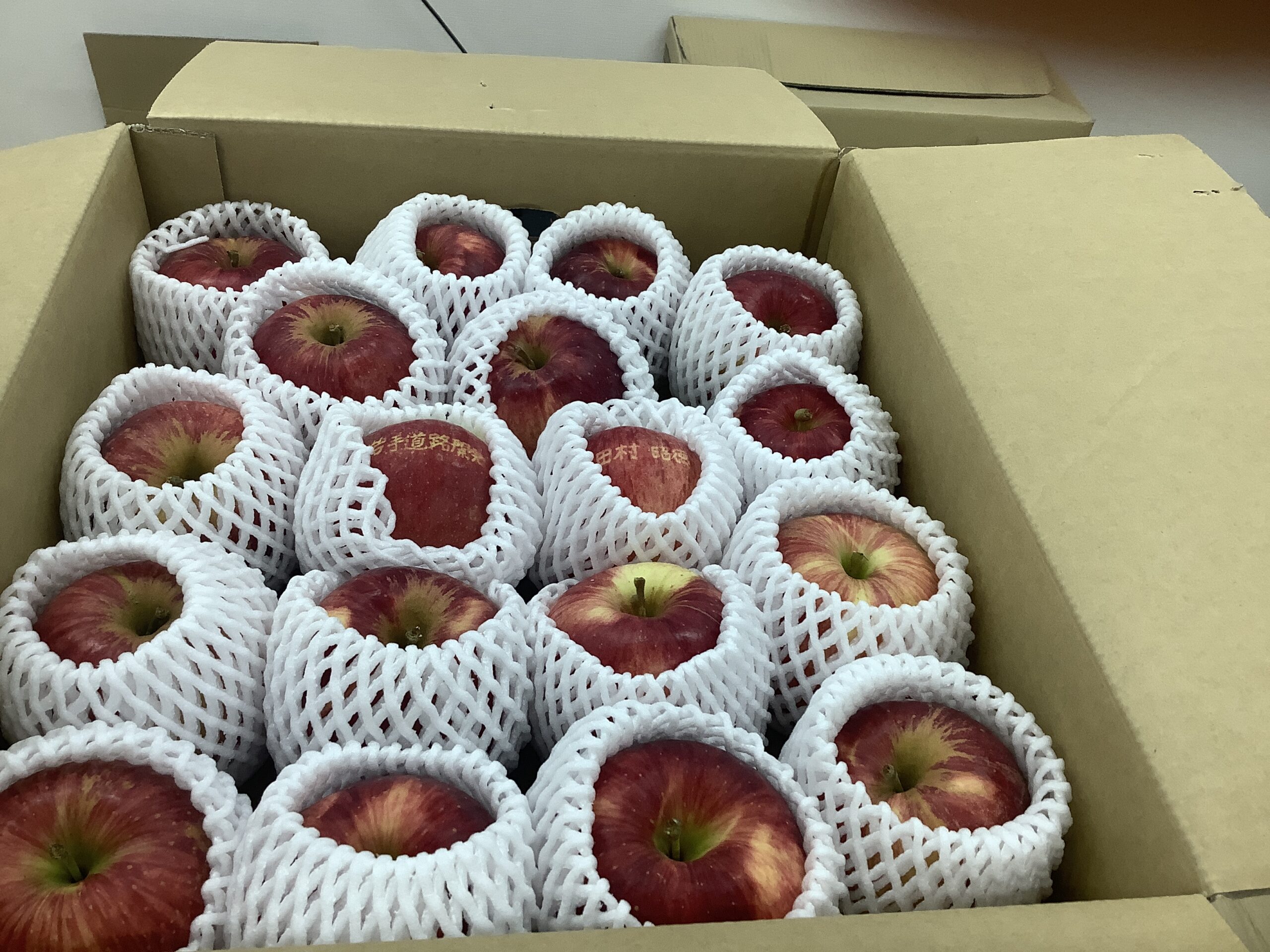 りんご🍎をいただきました！